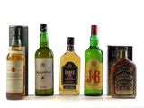 Plusieurs bouteilles d'alcool sont alignées sur une surface blanche
