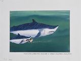 une photo d'une photo d'un grand requin blanc