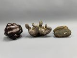 three different types of rocks and stones on a white surface