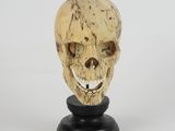a close up of a wooden skull on a black base