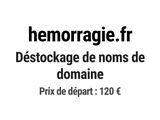 Photo 1/1 du lot