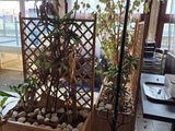 une pièce où il y a beaucoup de plantes