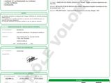 a green and white document with a picture of a horse on it