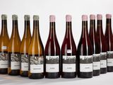six bouteilles de vin sont alignées sur une surface blanche