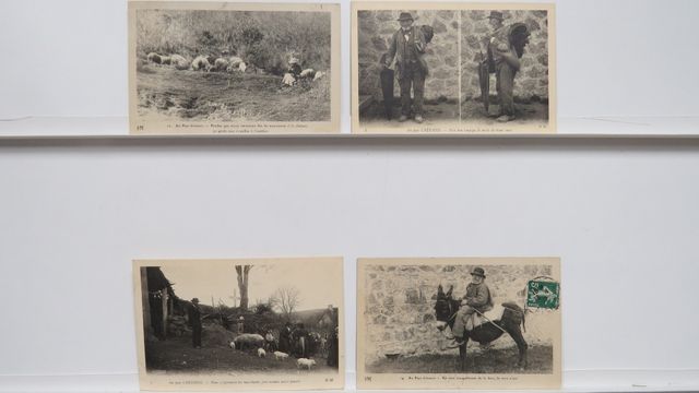 Types Creusois : Lot de 4cpa. B.E. général.