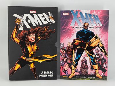 two books of the x - men and the x - men