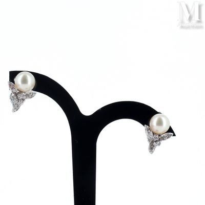 pair of pearl and diamond stud earrings on a black stand
