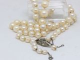 pearl necklace with a silver clasp and a white pearl bead