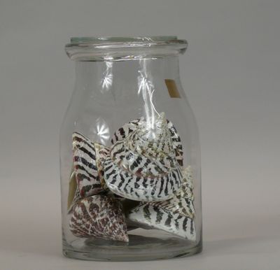 a glass jar with shells inside of it on a table