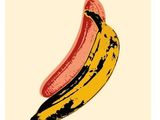 une image représentant une banane qui figure sur la couverture d'un livre