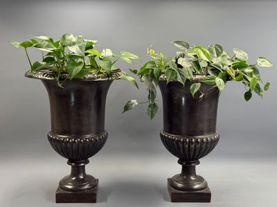 pair of black urns with green plants in them against a gray background