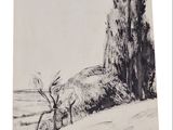 a black and white drawing of a tree in the middle of a field