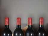 six bottles of red wine lined up in a row on a shelf