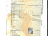 l'image d'un document sur lequel figure la photo d'une personne