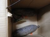 a skateboard that is sitting in a box on the floor