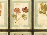 many different types of pressed flowers displayed in this picture