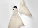 deux robes de mariée blanches accrochées à un mur dans une pièce blanche