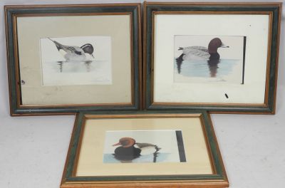 trois photos encadrées représentant des canards, posées sur une table avec un fond blanc