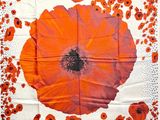 a close up of an orange poppy flower on a white background