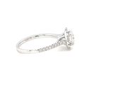Photo 14/14 du lot