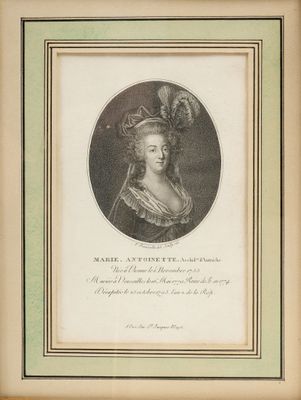 portrait of a lady with a feathered hat and feathered headdress