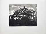 une image représentant un dessin en noir et blanc d'un arbre dans un champ