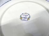 a close up of a white plate with a blue border