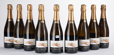 six bouteilles de champagne alignées sur une surface blanche