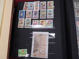 une photo d'une collection de timbres exposée dans un coffret