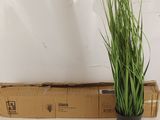 une plante posée sur une boîte en carton