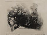 a black and white drawing of trees in a field