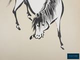 drawing of a black and white horse on a beige background