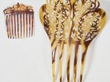 deux peignes et un peigne posés sur une surface blanche
