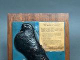 a black bird that is sitting on a plaque