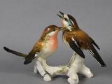 deux oiseaux perchés ensemble sur une branche