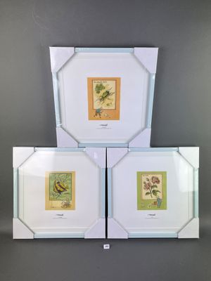 three framed pictures of birds and flowers on a gray wall