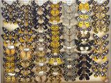 many different types of moths displayed in a display case