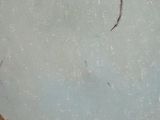 a painting on the wall of a bathroom with a toilet and a sink