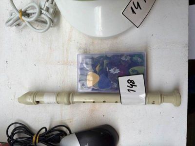 Une flûte à bec d'étude et une boîte de 300 médiators pour g…