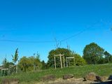 Photo 24/28 du lot