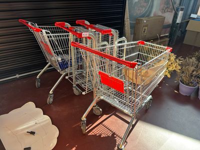 several shopping carts are lined up in a row in front of a garage door