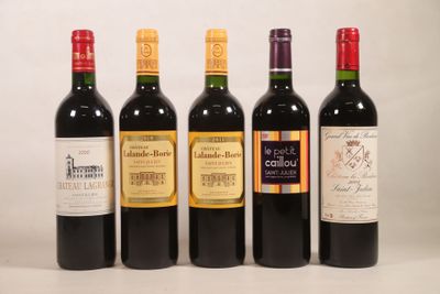 plusieurs bouteilles de vin sont alignées sur une surface blanche