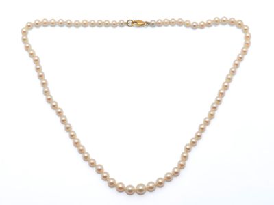 un collier de perles avec un fermoir en or sur fond blanc