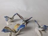 two birds that are sitting next to each other on a table