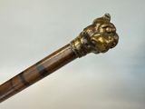 a close up of a walking stick with a lion head on it