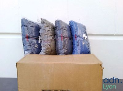 a cardboard box with a bunch of pillows on top of it