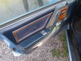 a close up of a car door with a wooden panel