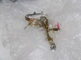 a fish that is sitting on a piece of ice