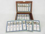 six cartes dans une boîte en bois posée sur une surface blanche