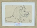 drawing of a mouse eating a piece of food in a wooden frame